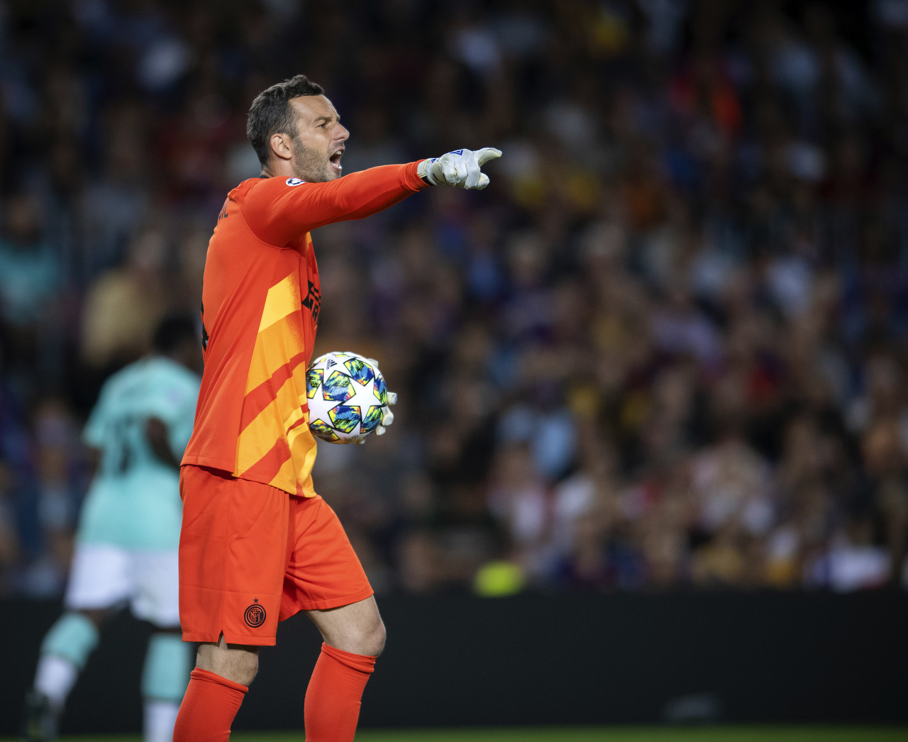 定新东家仅 定新东家仅