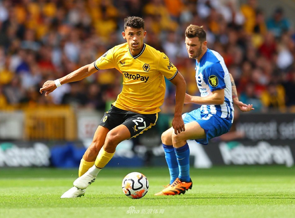 中潜在的巨 中潜在的巨